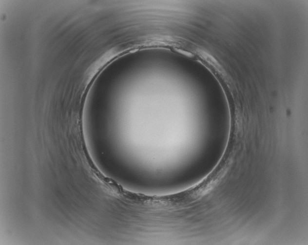 X0000068311089200604211158