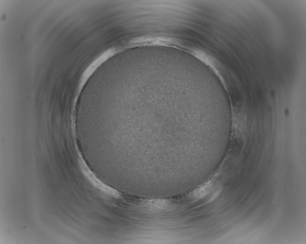 X0000068311090200604211158