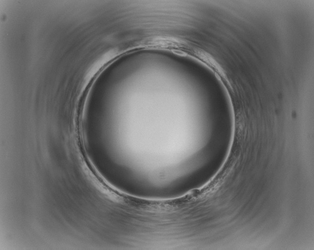 X0000068311091200604211158