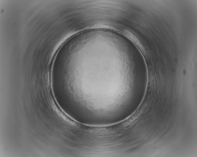 X0000068311092200604211158