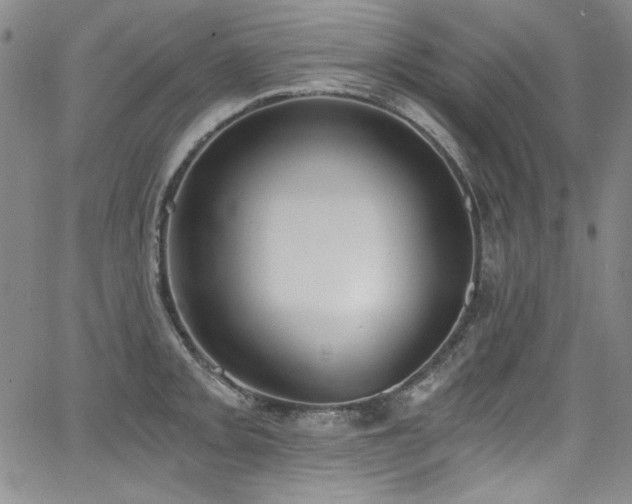 X0000068311093200604211158