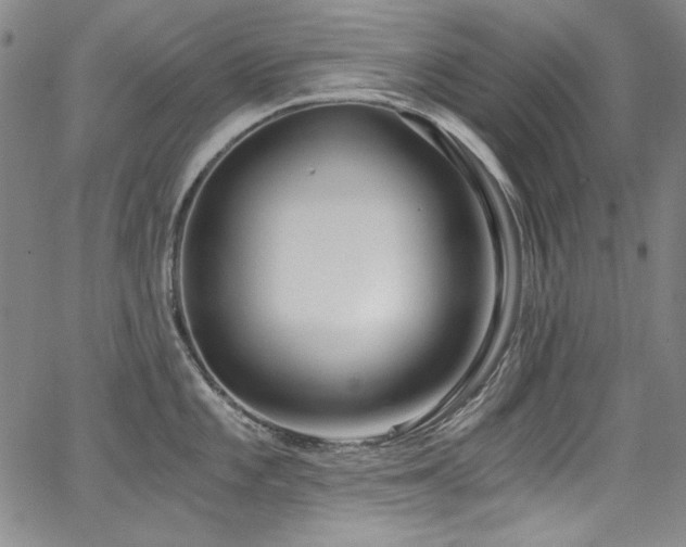 X0000068311101200604211157