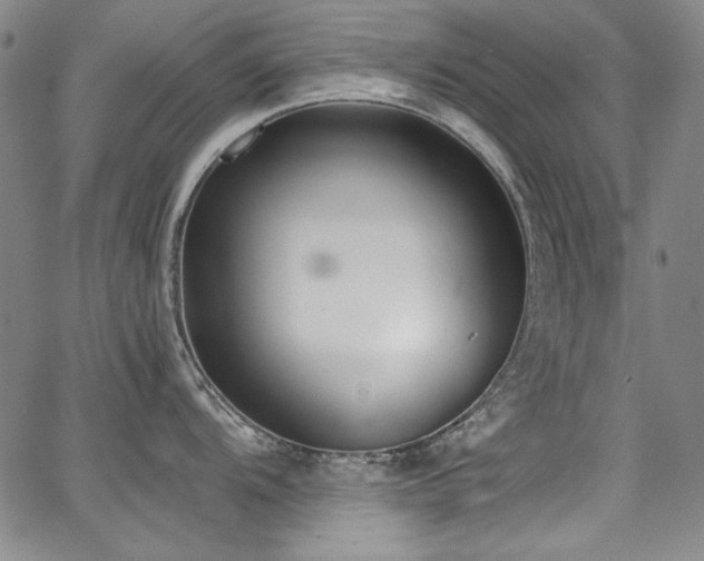 X0000068311104200604211157