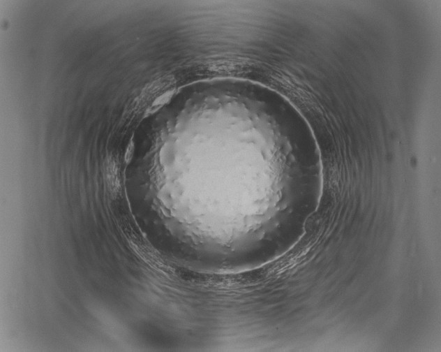 X0000068311106200604211157