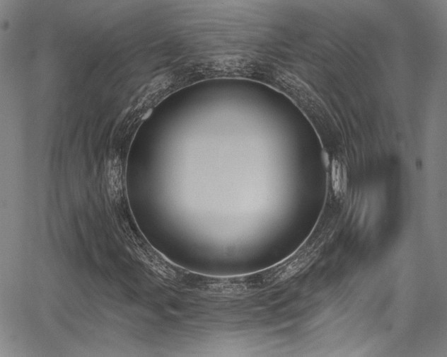 X0000068311107200604211157