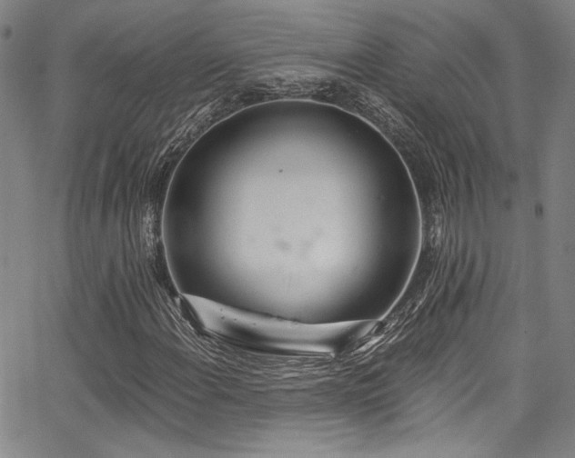 X0000068311108200604211157