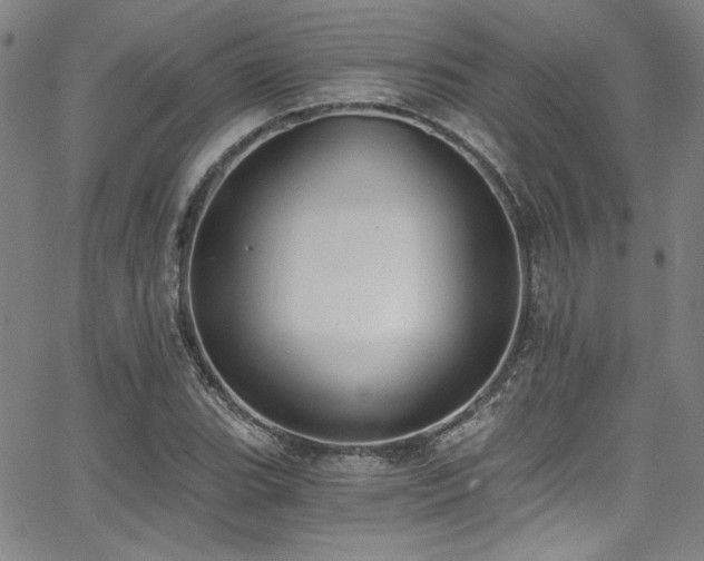 X0000068311119200604211157