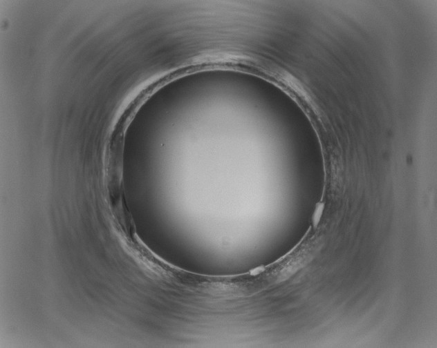 X0000068311124200604211157