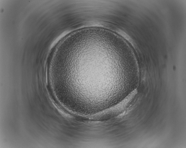 X0000068311127200604211157