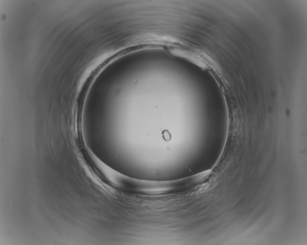 X0000068311128200604211157