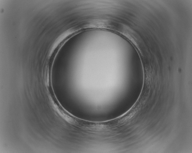 X0000068311131200604211157