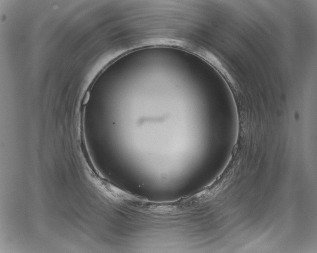 X0000068311140200604211157