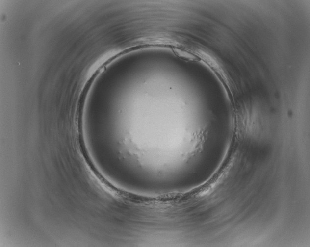 X0000068311141200604211157