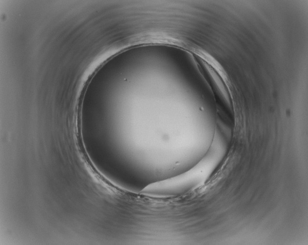 X0000068311144200604211157