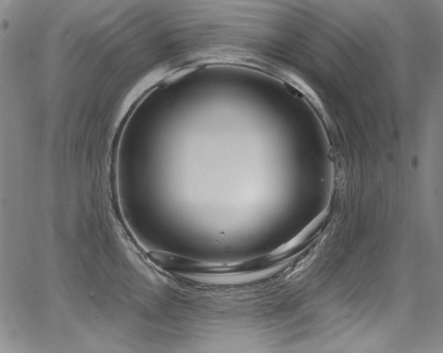 X0000068311146200604211157