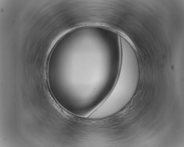 X0000068311148200604211157