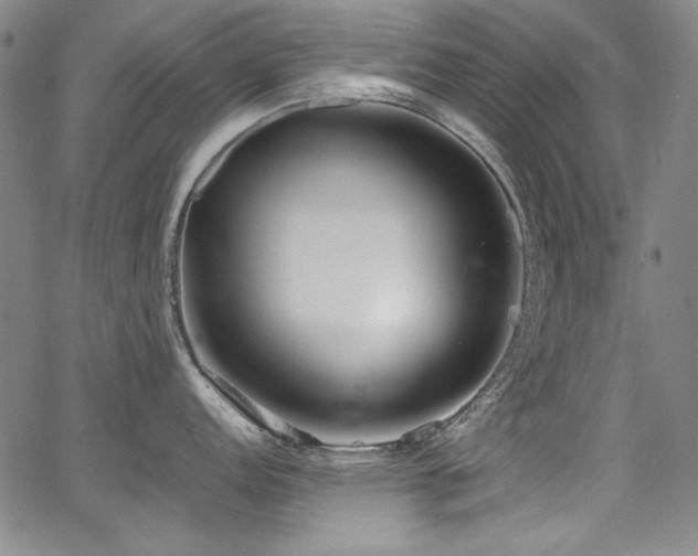 X0000068311152200604211157