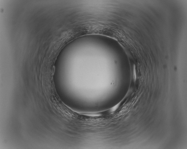 X0000068311153200604211157