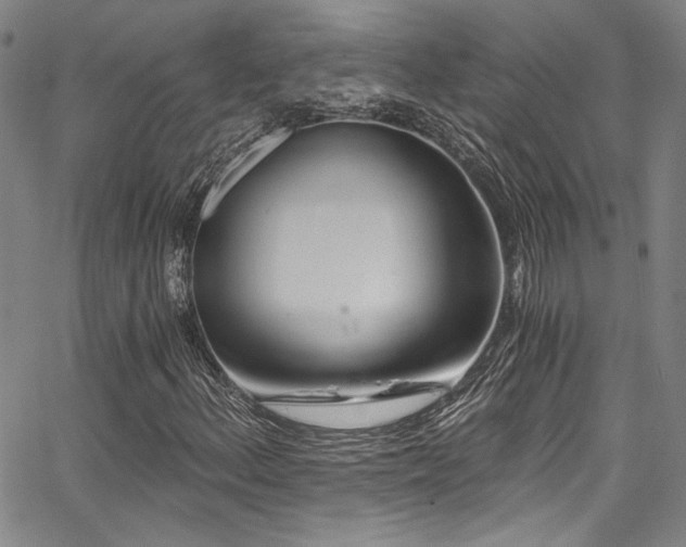 X0000068311156200604211156