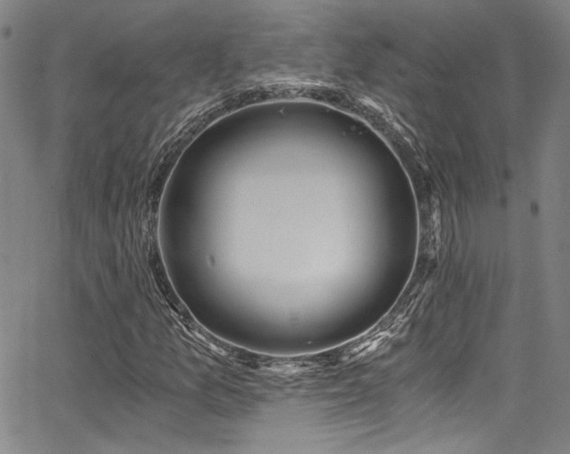 X0000068311157200604211156