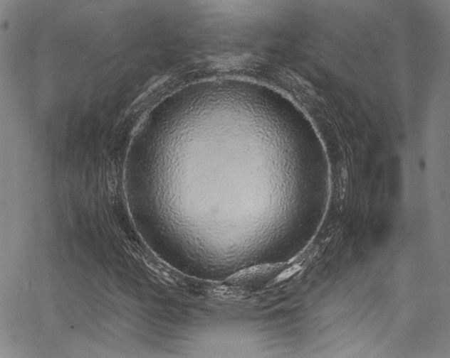 X0000068311158200604211156