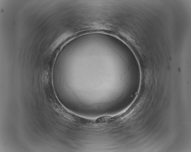 X0000068311163200604211156