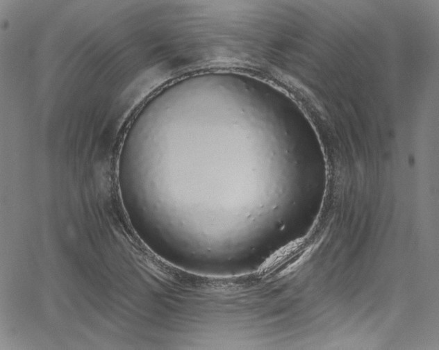 X0000068311170200604211156