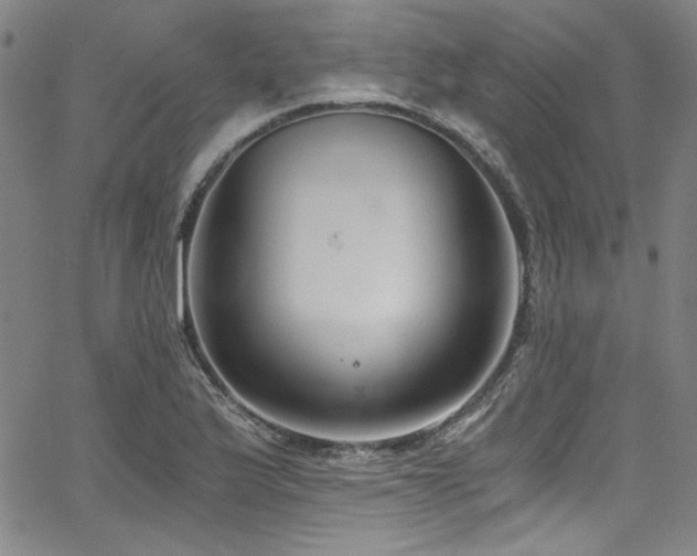 X0000068311175200604211156
