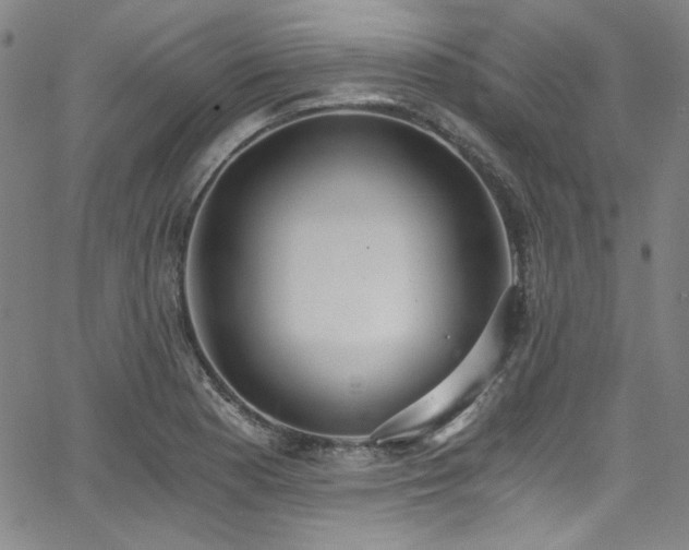 X0000068311177200604211156