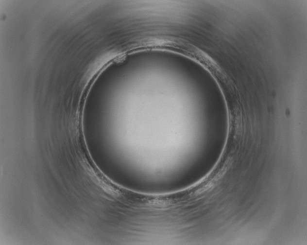 X0000068311178200604211156