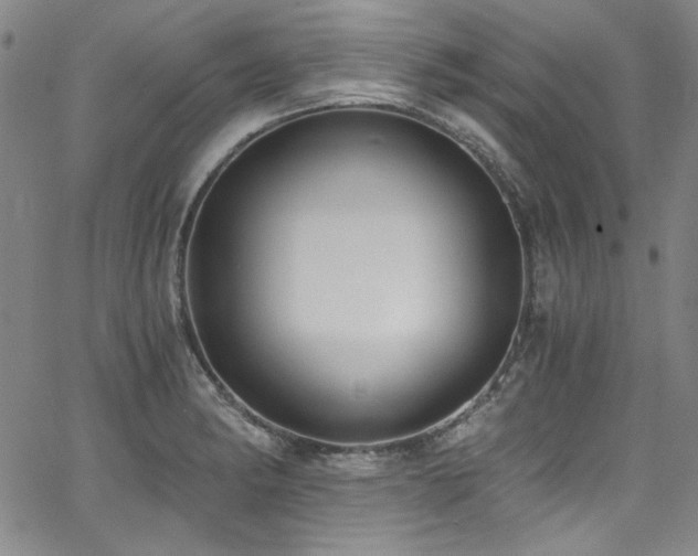 X0000068311182200604211156