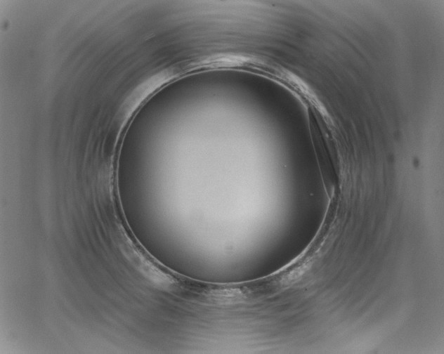 X0000068311186200604211156