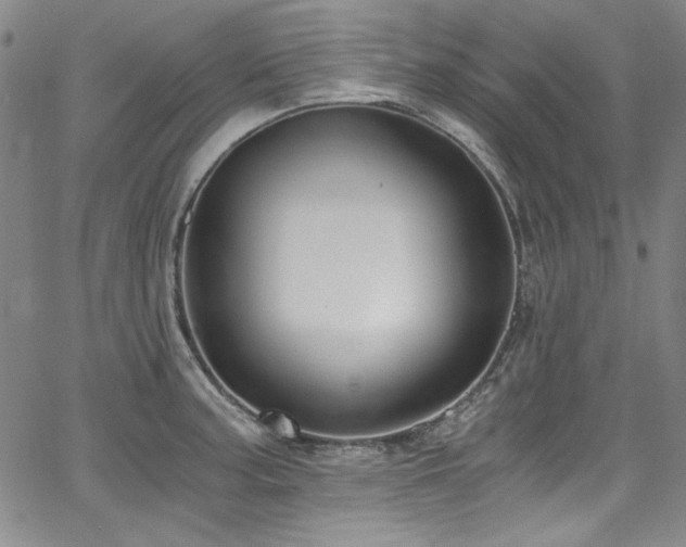 X0000068311187200604211156