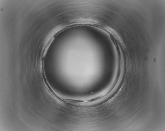 X0000068311188200604211156