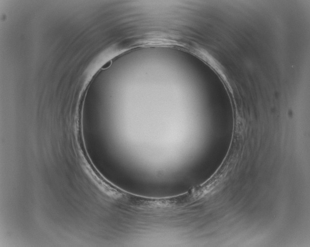 X0000068311195200604211156