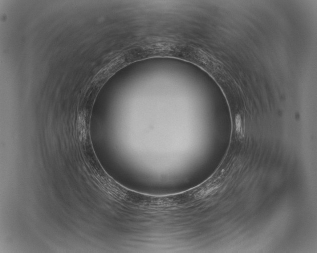 X0000068311203200604211155