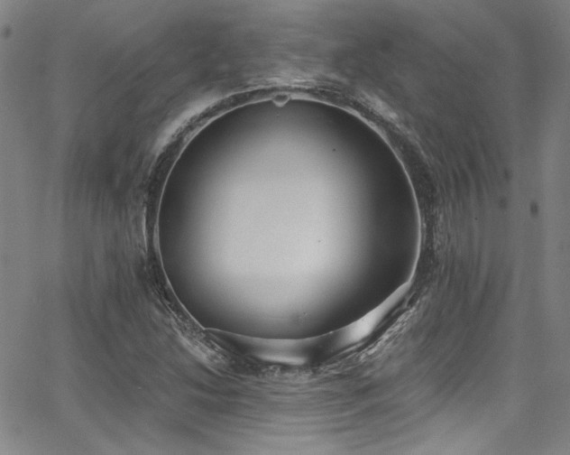 X0000068311214200604211155