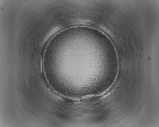 X0000068311219200604211155
