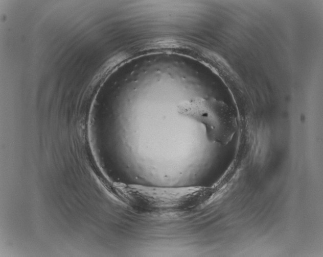 X0000068311225200604211155