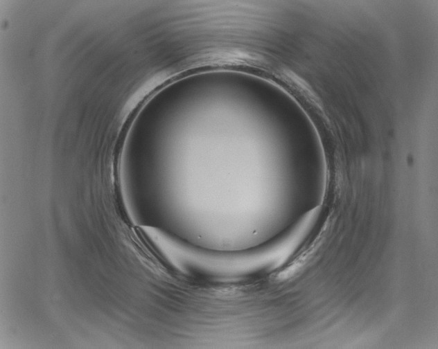 X0000068311226200604211155