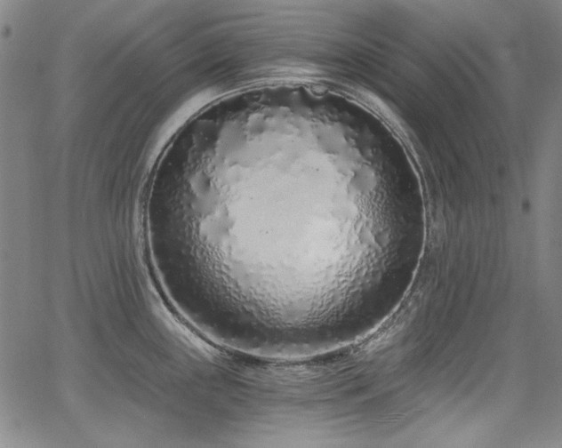 X0000068311243200604211156
