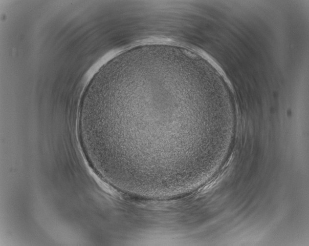 X0000068311245200604211156