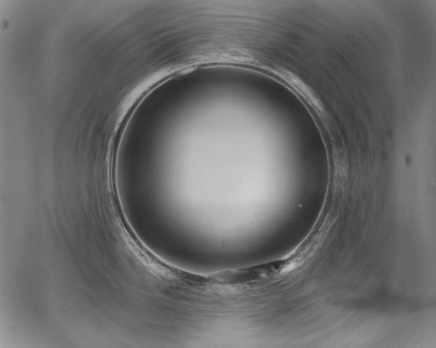 X0000068311246200604211156