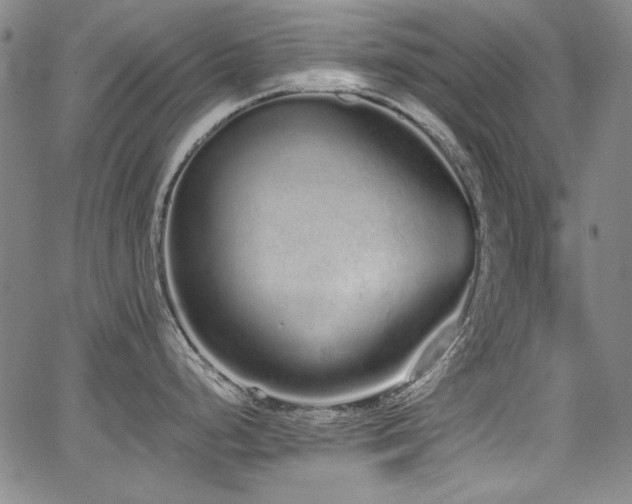 X0000068311248200604211156