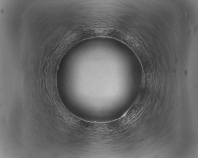 X0000068311249200604211155