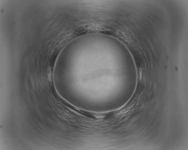 X0000068311251200604211155