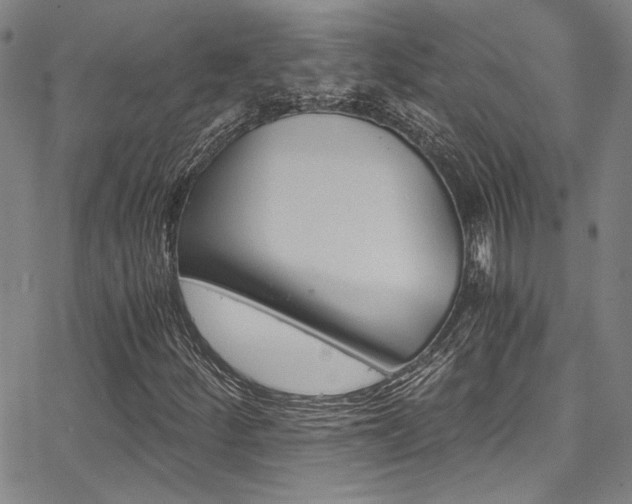 X0000068311252200604211155