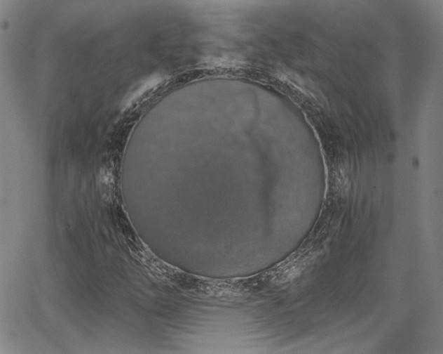 X0000068311254200604211155