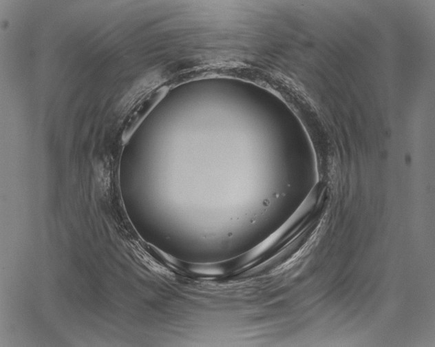 X0000068311257200604211155