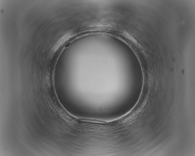 X0000068311259200604211155